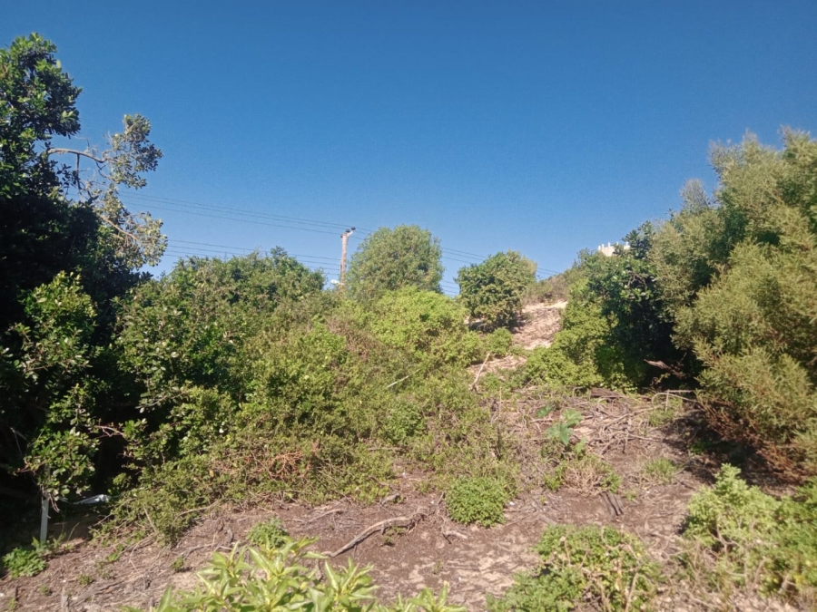 Commercial Property for Sale in Paradise Beach Eastern Cape